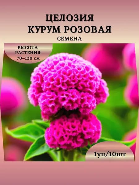 Целозия "Курум Розовая" семена, 1 пачка