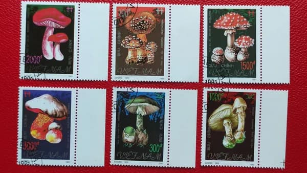 Марки Вьетнам 1991. Флора. Серия: "Ядовитые грибы". Поля. Гашение. MNH - См фото