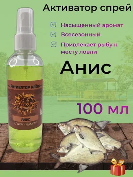Активатор клёва, спрей 100 мл, Анис, REGENS
