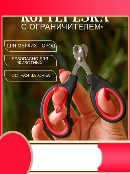 Когтерез