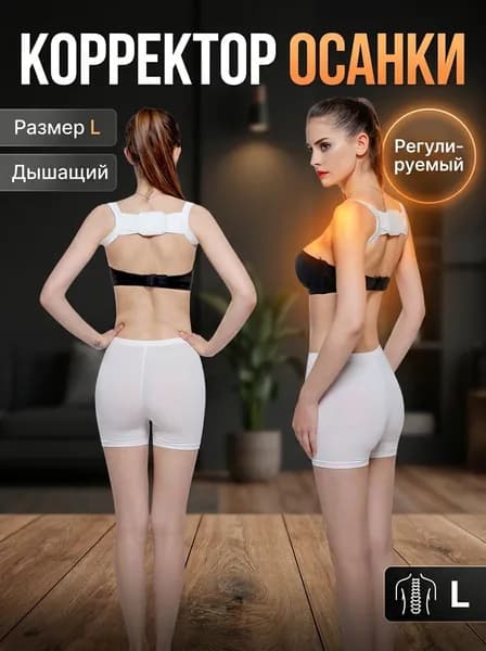 Тренажер для спины 1688-1030792090245