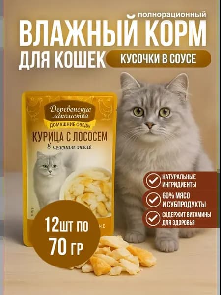 Корм влажный ДЛ для кошек Курица лосось в желе 70 гр 12 шт