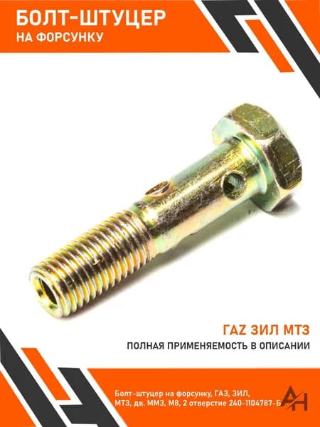 Болт-штуцер на форсунку, Гаz, Зиз, Мтз, дв. Ммз, М8, 2 отверстие