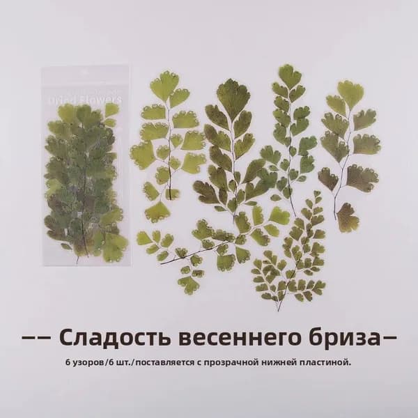 Серия Цветочный магазин на выходных декоративные наклейки для скрапбукинга, лэйблов, дневников, альбомов, канцелярских товаров. Винтажные наклейки с растениями и цветами, аксессуары для творчества