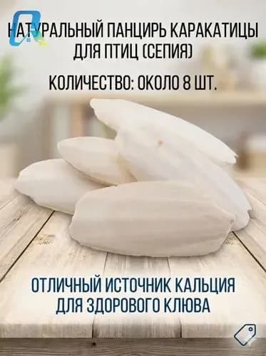 Сепия (каракатица) для птиц: природный источник кальция, минеральный камень