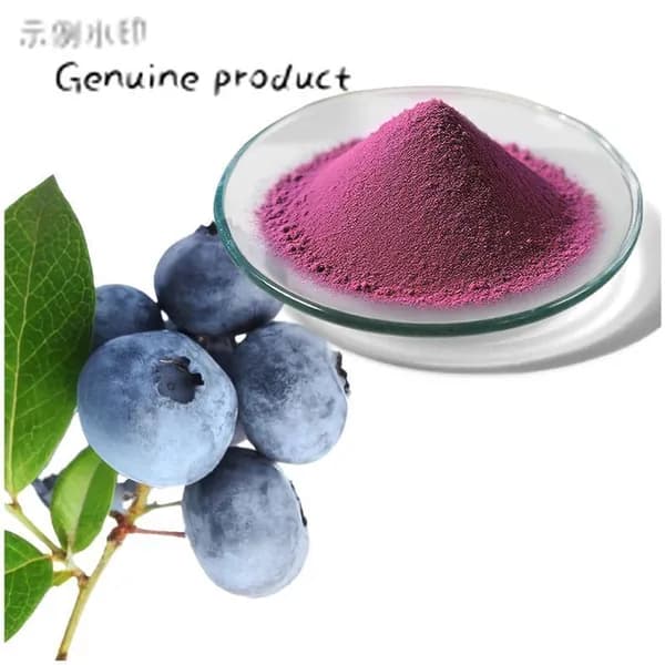 Порошок экстракта черники, антоцианы (Blueberry)-TAODONG