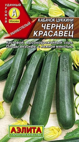 Семена Кабачок цуккини Черный Красавец (10 семян) - Аэлита
