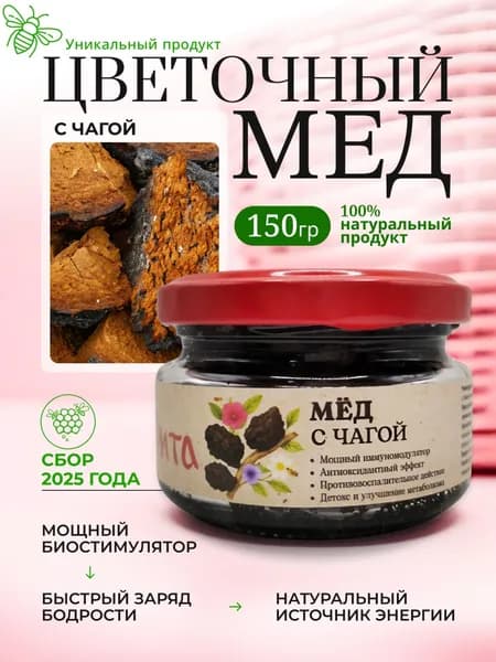 Мед разнотравье и чага березовая 150 грамм