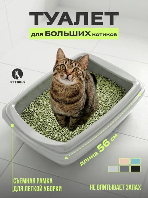 Туалет для кошек, лоток для кошек большой с бортами высокими