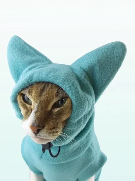 Шапка с ушками для кошек