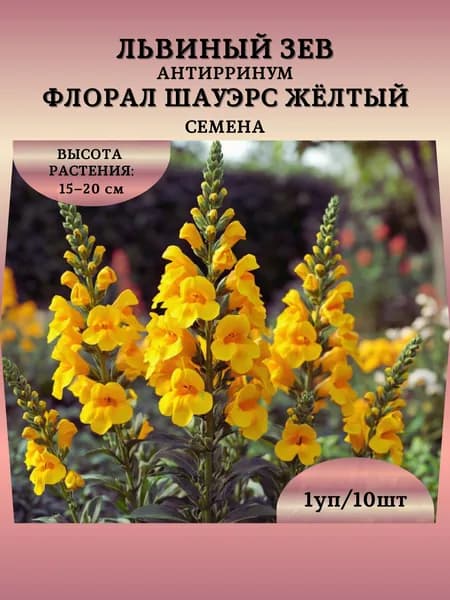 Львиный зев "Флорал Шауэрс Жёлтый" семена, 1 пачка