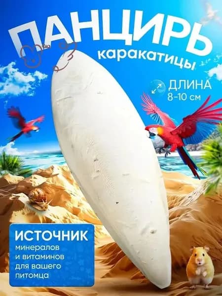 Сепия 10 см 1 штуки панцирь каракатицы для попугаев, корм для птиц