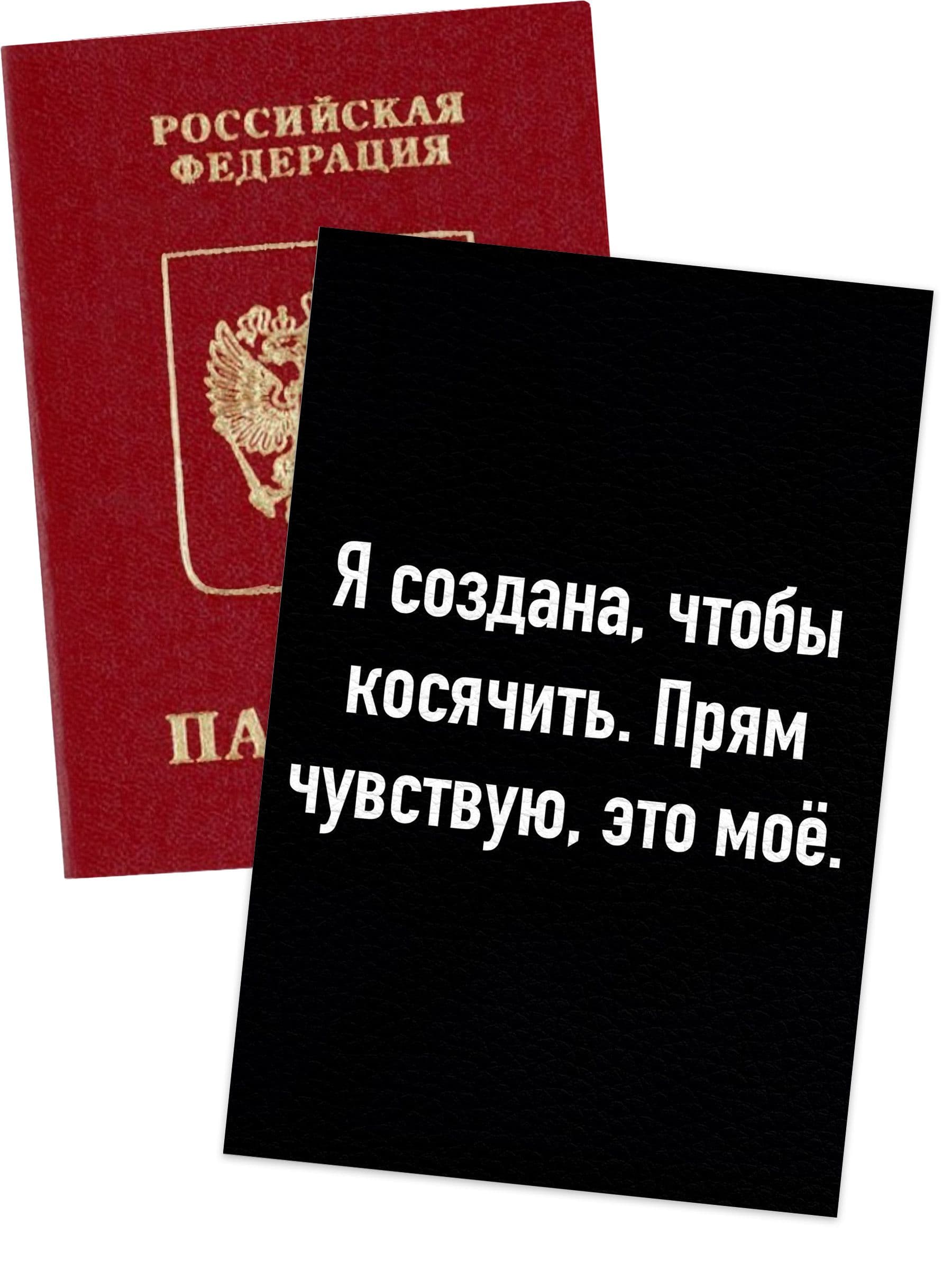 Обложка для паспорта цитатами