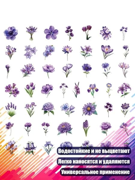 Настенная карта