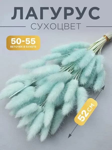 Сухоцветы 55 см 55 шт зеленый