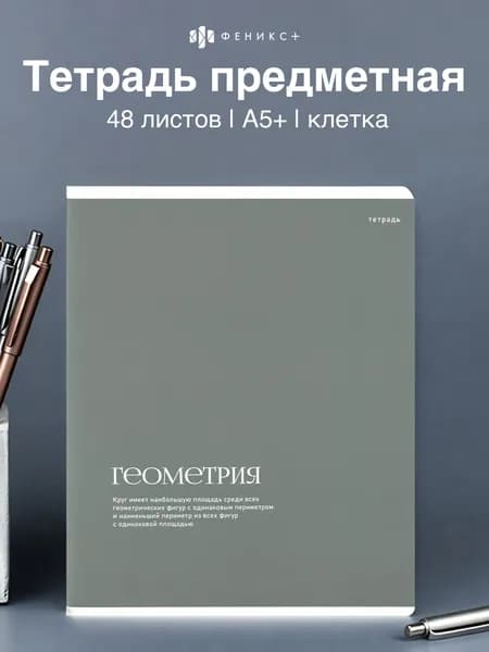 Тетрадь предметная по геометрии 48 листов в клетку Феникс+