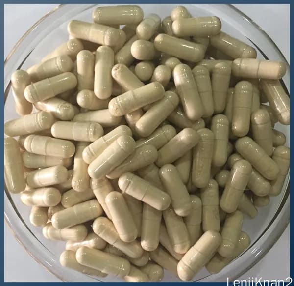 Розмариновая кислота 5% (Rosmarinic Acid 5%), Белая капсула 450 мг*100 гранулыDR.MENFTY