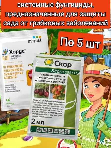 Скор от болезней растений фунгицид для сада хорус