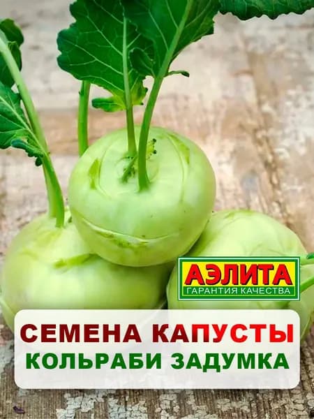 Семена капуста кольраби "Задумка", 0,5 г, однолетние цветы, для дачи, сада и огорода, клумбы, в открытый грунт