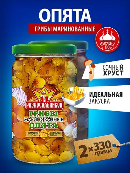 Грибы маринованные опята 330 гр Разносольников 2 банки