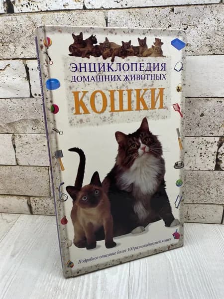 Сузи Пейдж. Кошки Белый город 1998г | Пейдж Сузи