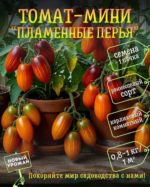 Томат (комнатный-мини) Пламенные перья, семена, 10 шт.
