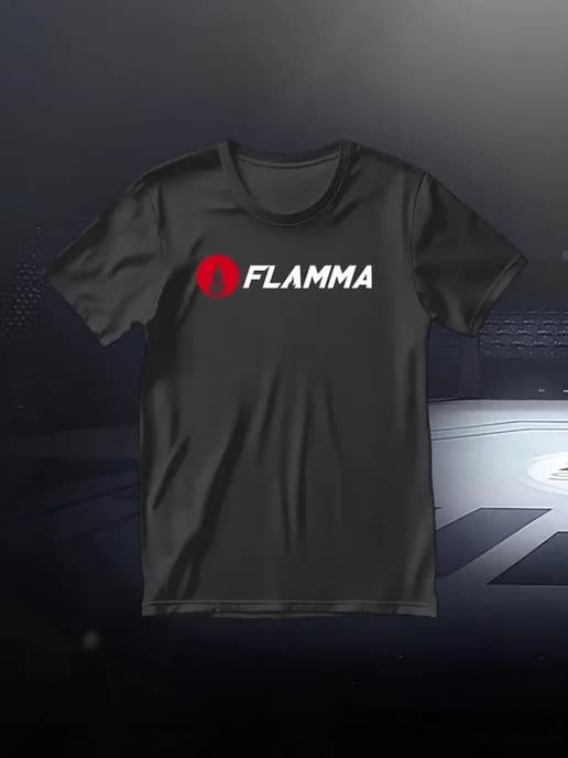 Футболка FLAMMA