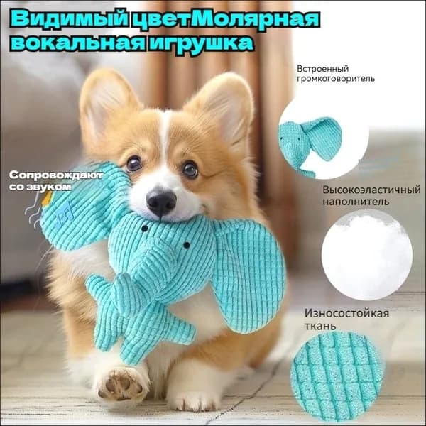 Молярная вокальная игрушка