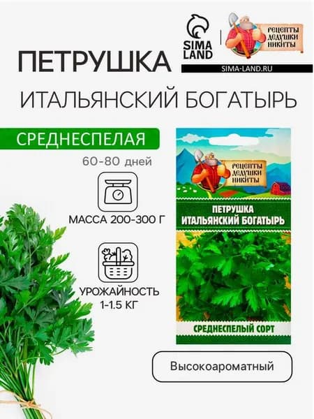 Петрушка "Итальянский богатырь"