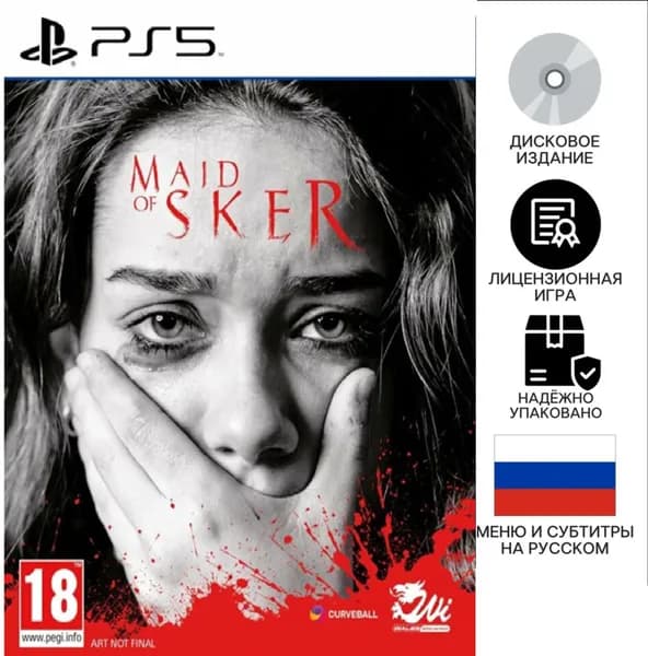 Игра Maid of Sker (PlayStation 5, Русские субтитры)