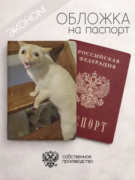 Обложка на паспорт эконом популярные мемы с котом на лестнице