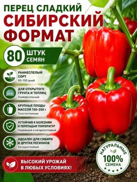 Перец сладкий Сибирский Формат 80шт