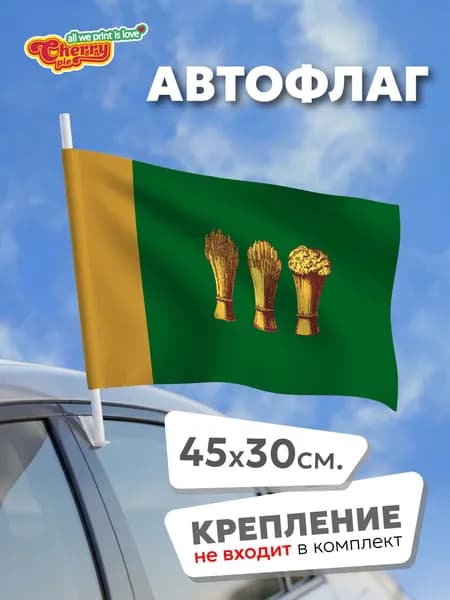 Флаг 45x30 Пенза (Пензенская область)