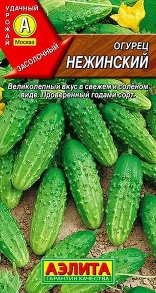 Огурец "Нежинский " пчелоопыляемый семена Аэлита для открытого грунта и теплиц, 10 шт