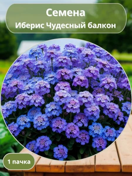 Иберис Чудесный балкон, семена 10 шт