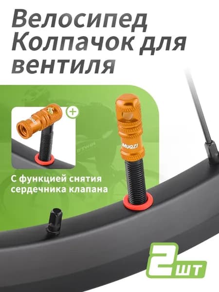 Велошина