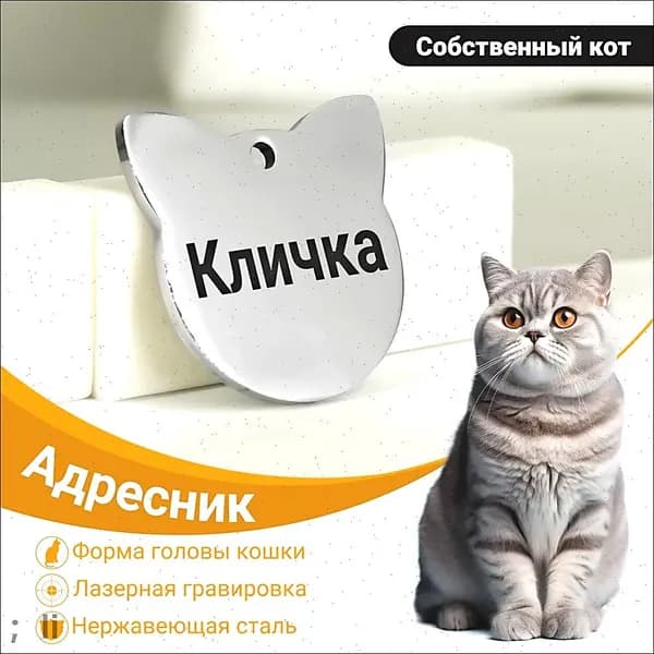 Адресник из нержавеющей стали в Круглые уши кошачьей головы, Подарок для кота,адрес для кота,24.5*24.5mm