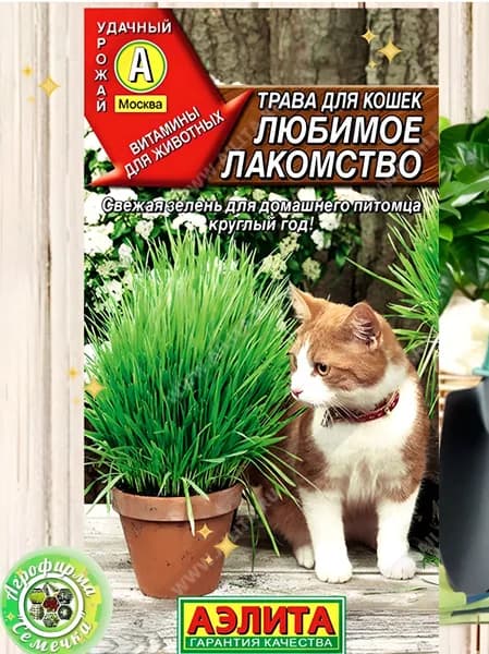 Аэлита Семена ,1шт
