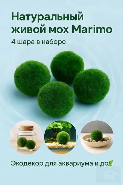 моховой шар Marimo, 4 штуки, диаметр 1CM-2CM
