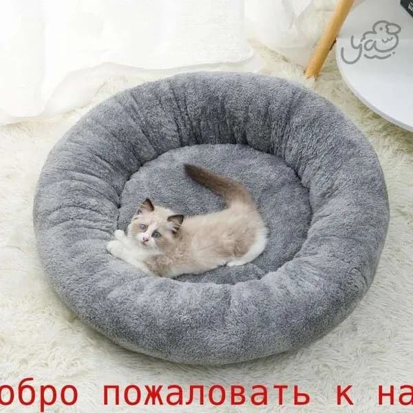 Лежаки Для Кошек С Теплыми Спинками - Идеальное Место Для Вашего Питомца В Холодные Дни