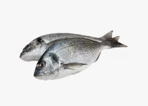Дорадо мороженый . 600/800. ( кор обка 5 кг )