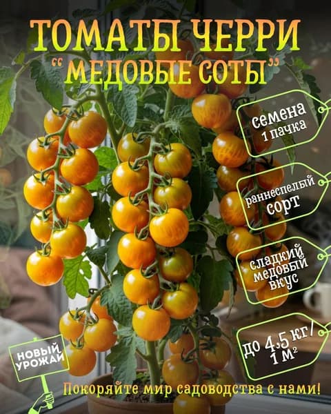 Томаты черри Медовые соты, семена, 10 шт.