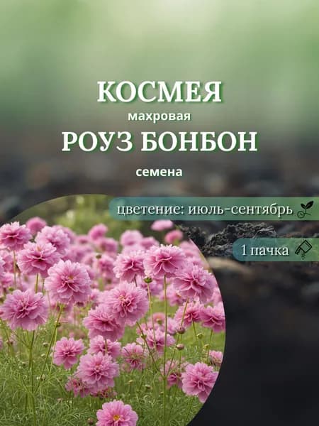 Космея махровая Роуз Бонбон, семена, 10 шт.
