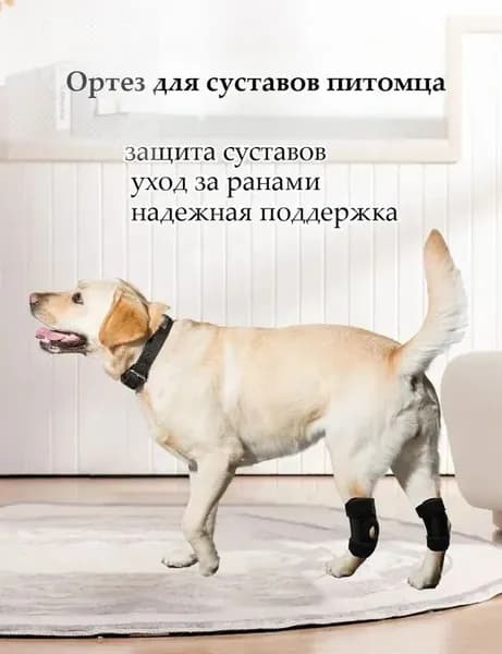 Защита суставов собаки и кошки, коленная чашечка, колено, связки
