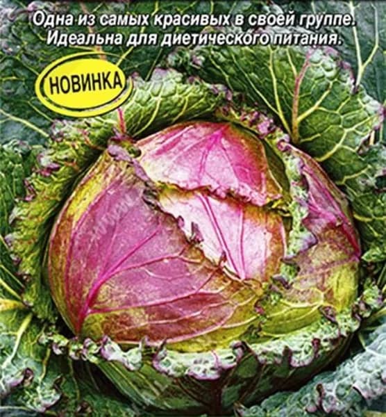 Коллекционные семена капусты савойская Фиолетовое кружево