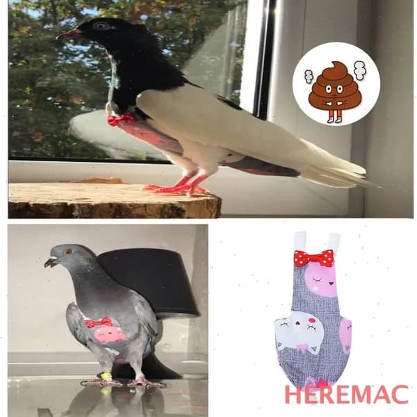 Одежда для животных HEREMAC