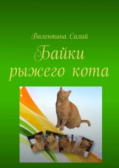 Байки рыжего кота. Стихи | Салий Валентина Михайловна | Электронная книга