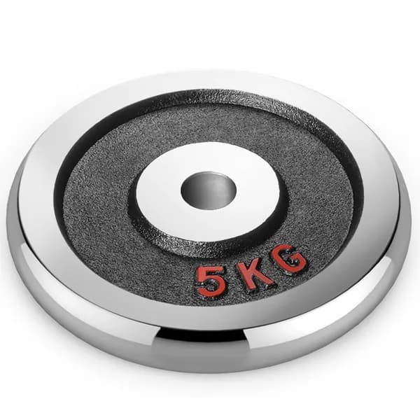 Диск хромированный Voitto V-500 5 кг (d26)
