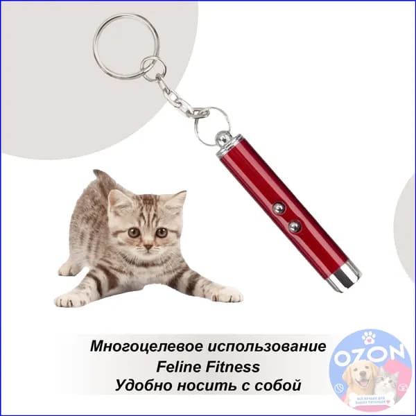 Интерактивная лазерная указка для активных игр с питомцем