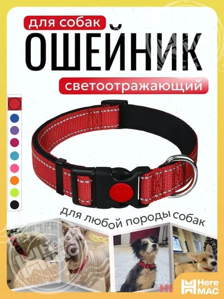 Ошейник HEREMAC